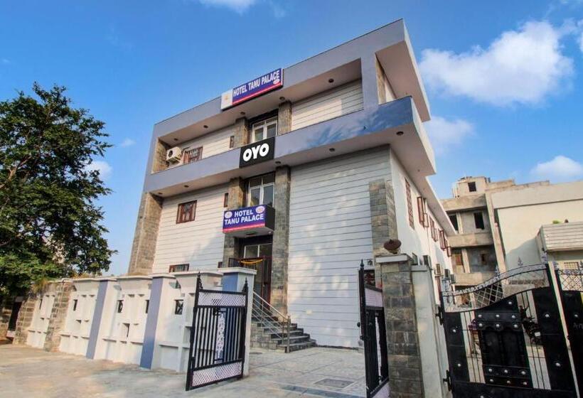 Oyo Hotel Tanu Palace