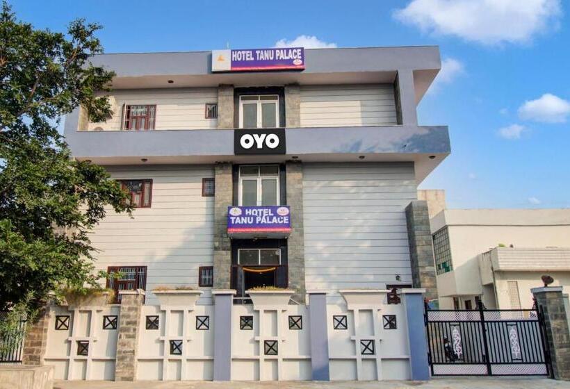 Oyo Hotel Tanu Palace