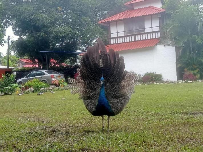بنسيون Hospedaje Familar Campestre Villa Alondra