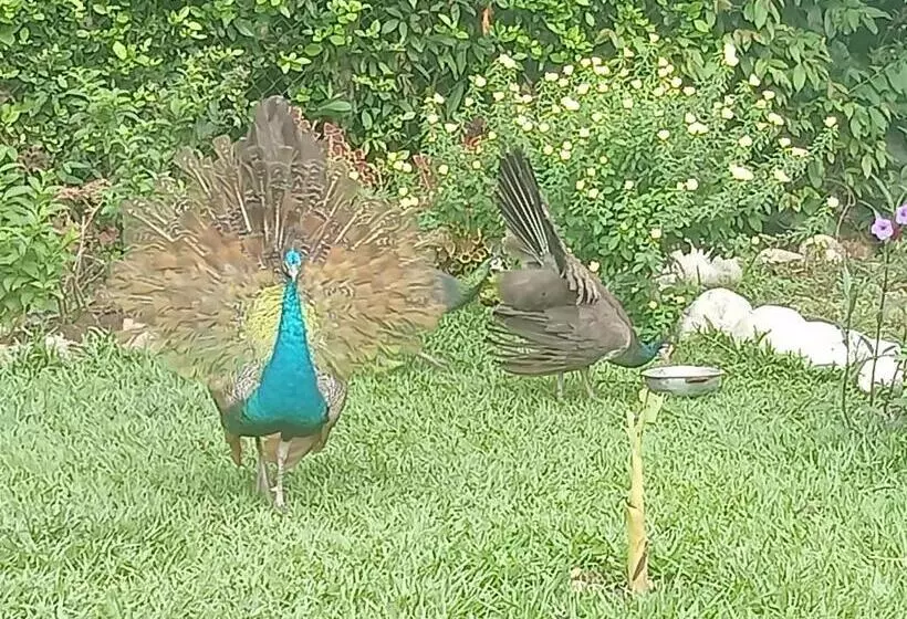 ペンション Hospedaje Familar Campestre Villa Alondra