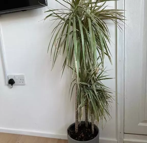 Majatalo Self Contained En Suite Room Very Close To Wembley Stadium