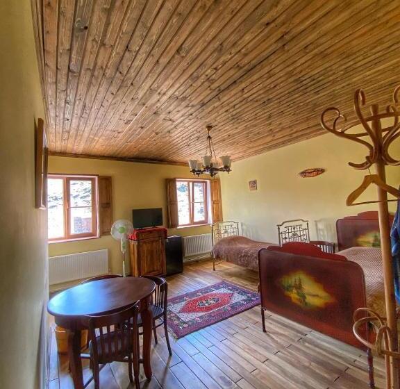 بنسيون Vahanatun