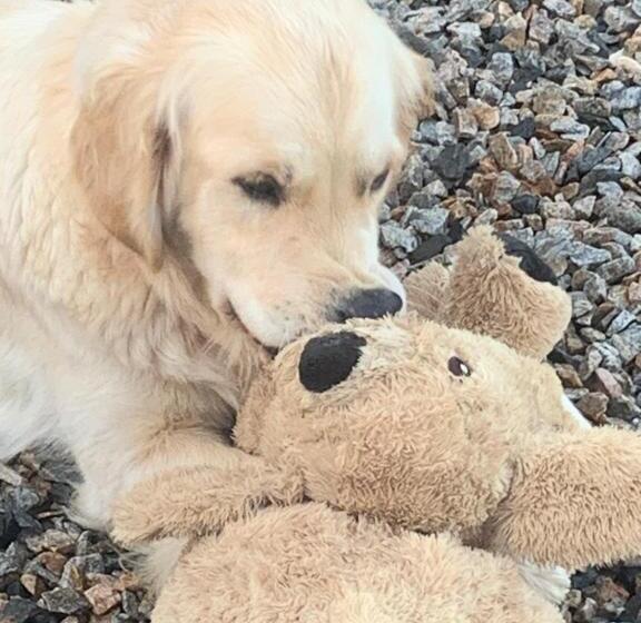 مبيت وإفطار Lys D Avril