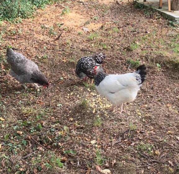 مبيت وإفطار Lys D Avril