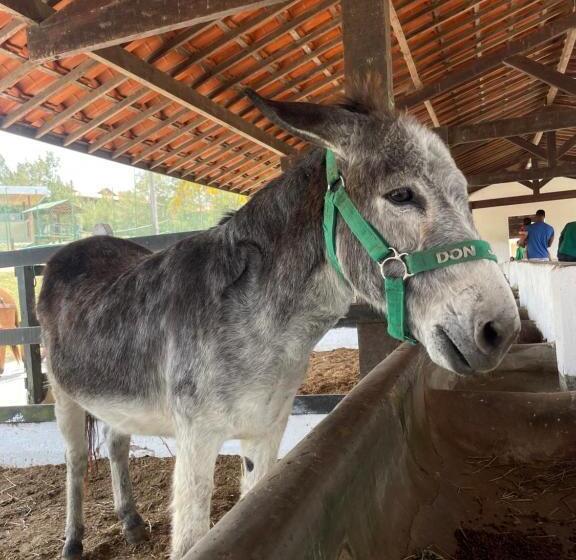 Flat Hotel Fazenda Monte Castelo