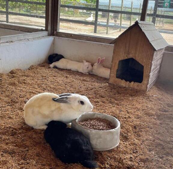 Flat Hotel Fazenda Monte Castelo