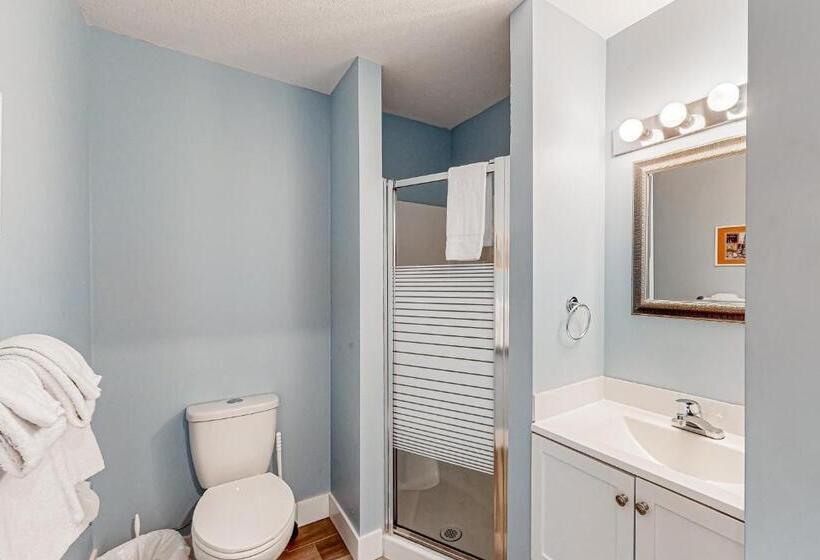 Hotel Snowcrest Village, Unit 5b