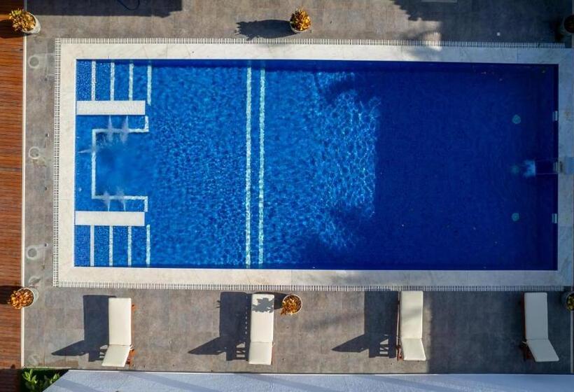 酒店 Villa Alexandre Pousada Trancoso