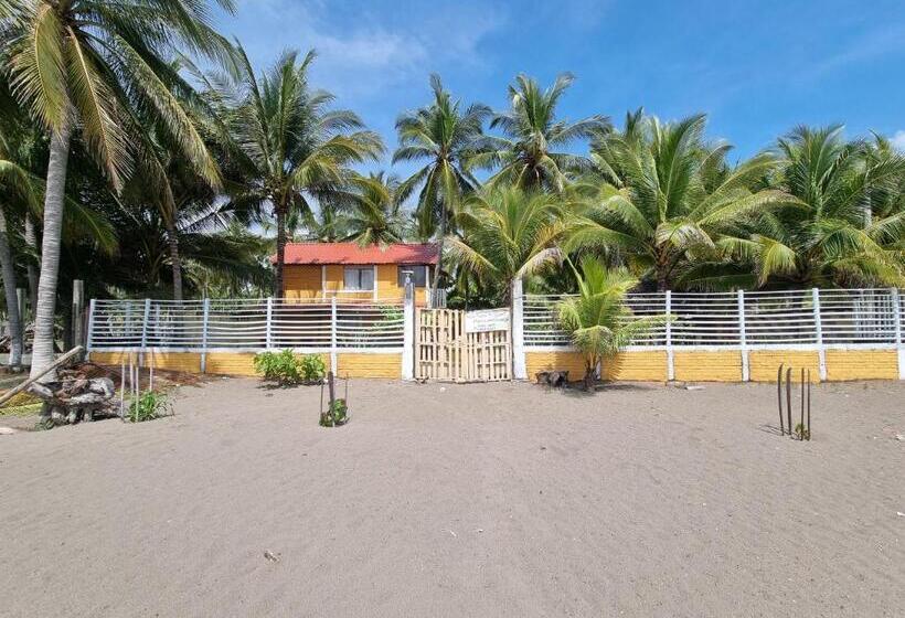 پانسیون Rancho Las Mercedes