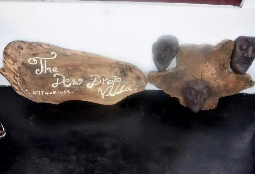 پانسیون The Dew Drop Villa