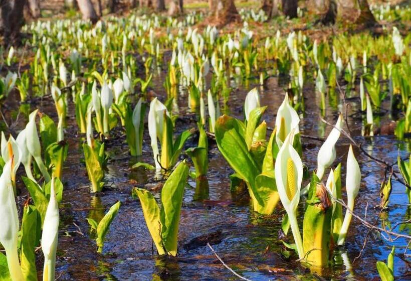 Tamachi Bukeyashiki Hotel Vacation Stay 20163v