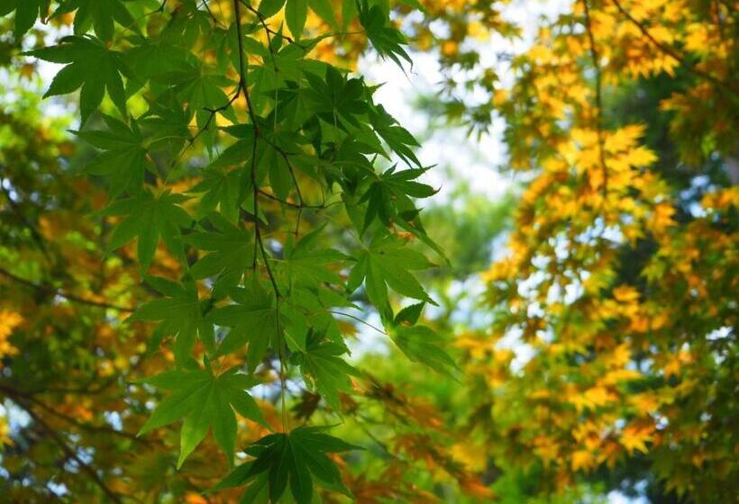 Tamachi Bukeyashiki Hotel Vacation Stay 20163v