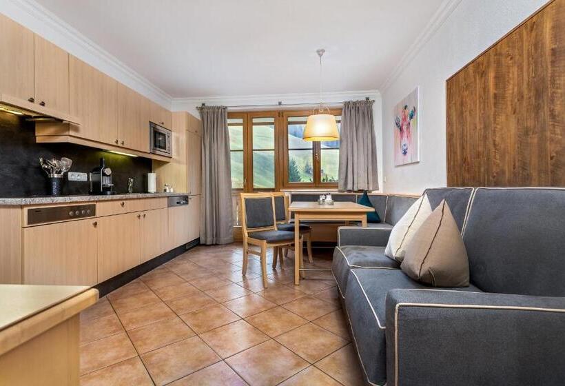 酒店 Almhof Alpin Apartments & Spa