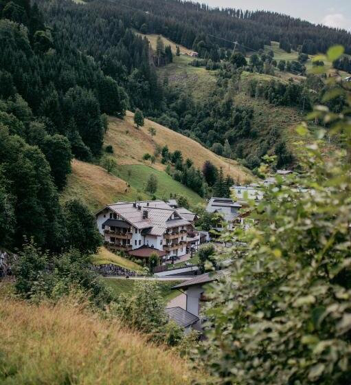 酒店 Almhof Alpin Apartments & Spa