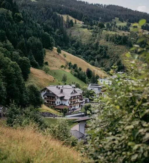 ホテル Almhof Alpin Apartments & Spa