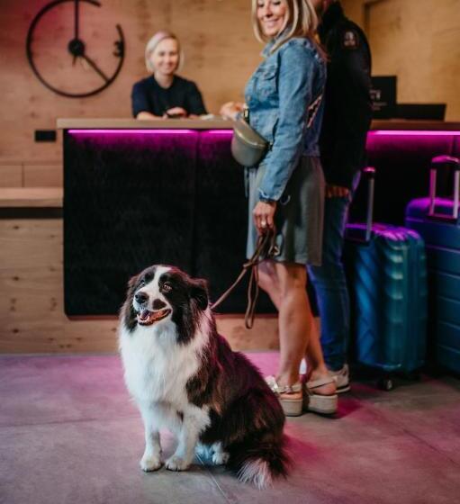 酒店 Almhof Alpin Apartments & Spa