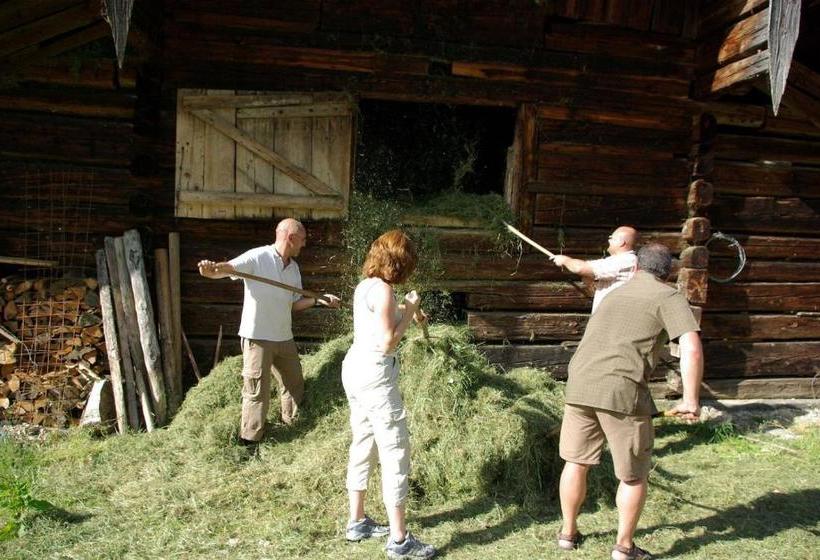 فندق Steinbachgut