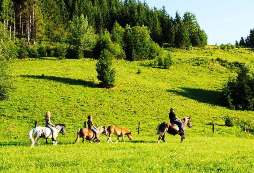 فندق Steinbachgut