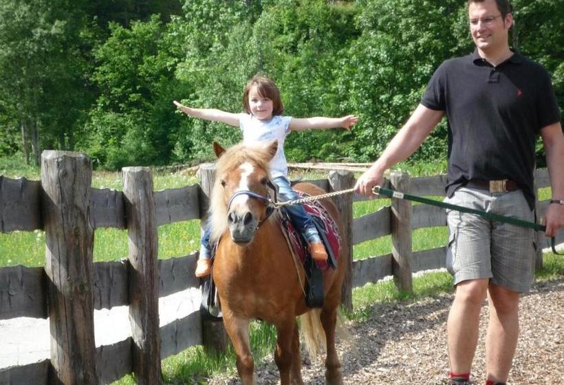 فندق Steinbachgut