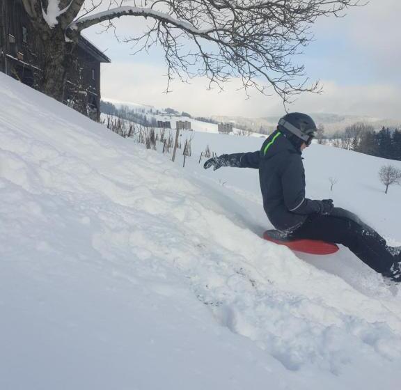 Отель Bioferienhof Brückler