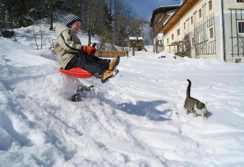 Отель Bioferienhof Brückler