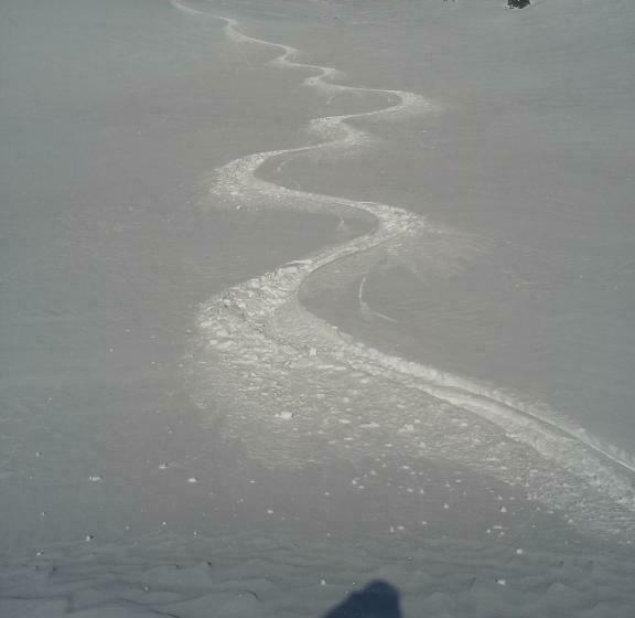 酒店 Ferienhaus Auer