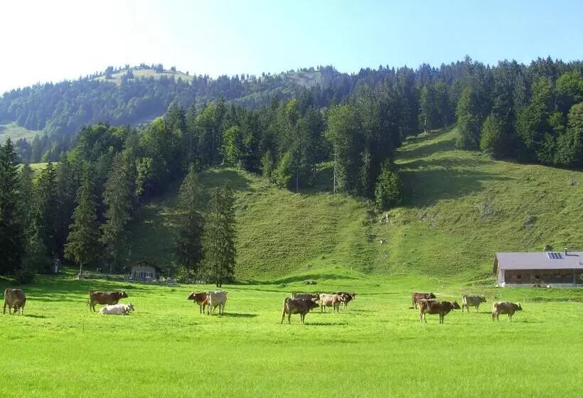 Hotelli Gästehaus Lutz