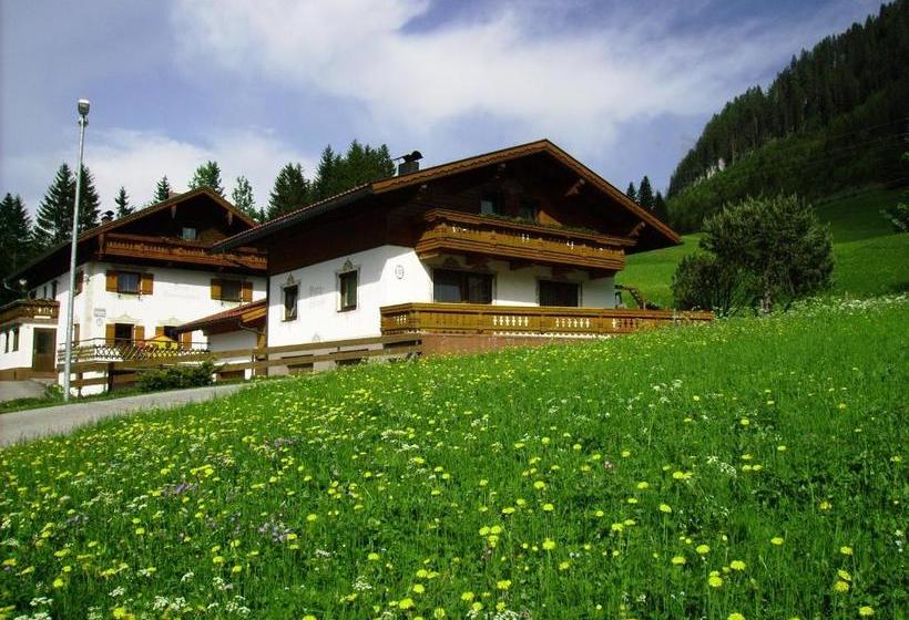 ホテル Haus Steinkarblick Und Berghäusl