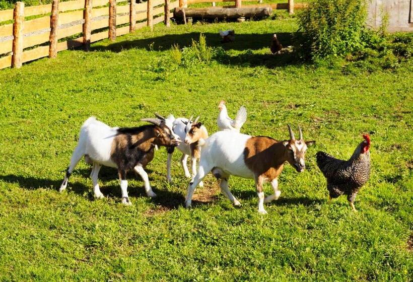 فندق Steinbachgut