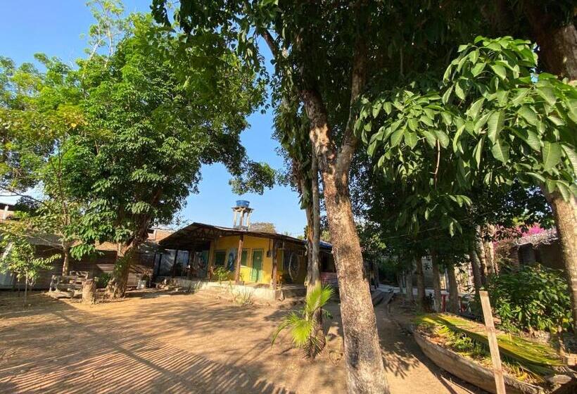 Vandrarhem Quarto Açai