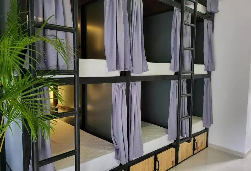 ユースホステル Why Not Mansion