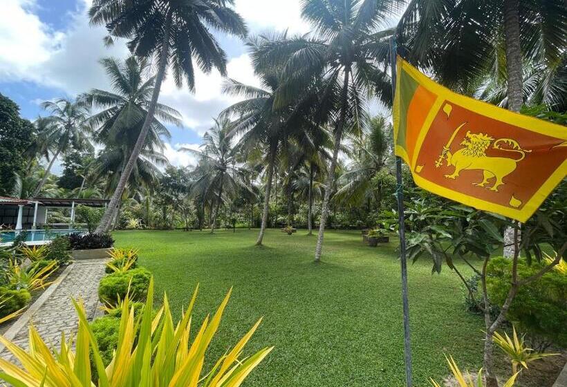 فندق صغير Why Not Mansion