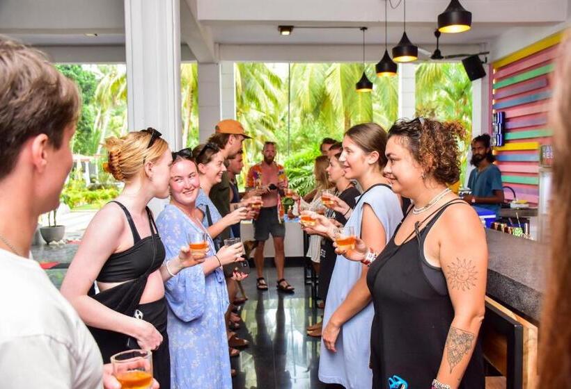 فندق صغير Why Not Mansion