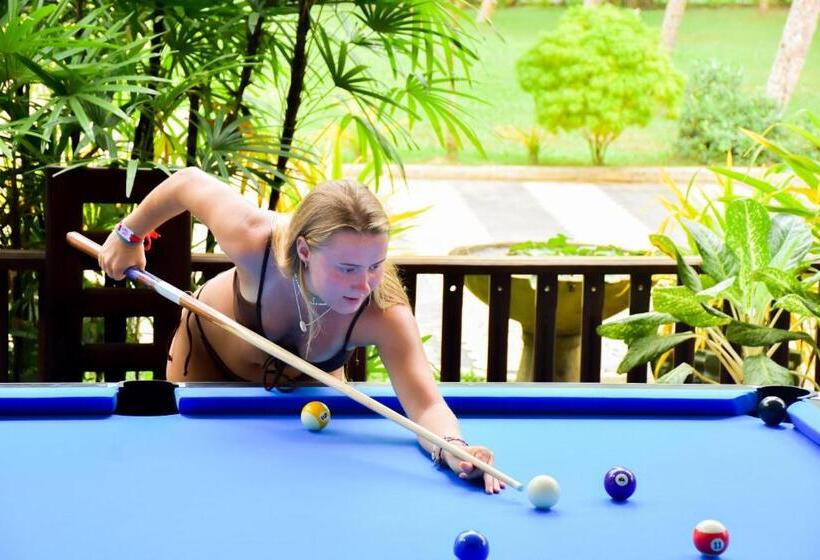 فندق صغير Why Not Mansion