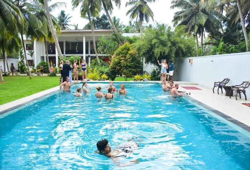 فندق صغير Why Not Mansion