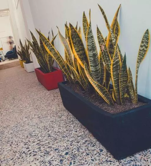 ホテル Cuadrilleros
