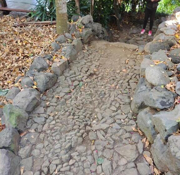 פנסיון Clove Garden