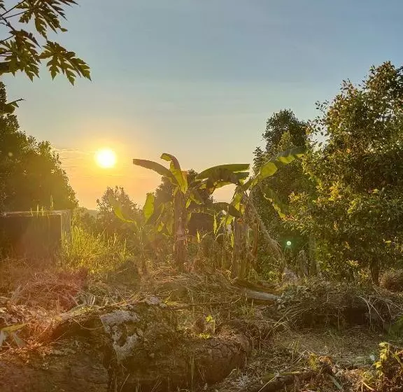 Pensionat Clove Garden