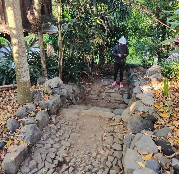 פנסיון Clove Garden