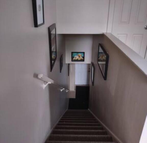 پانسیون Jelly Bean 2