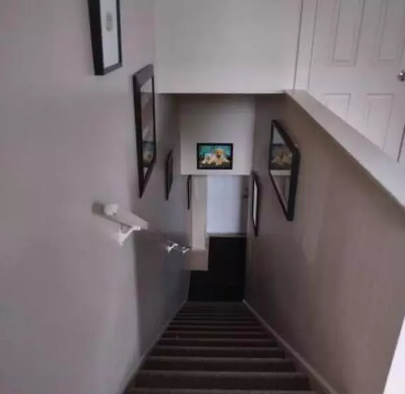 Majatalo Jelly Bean 2