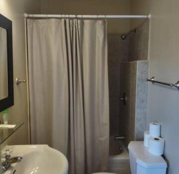 پانسیون Jelly Bean 2