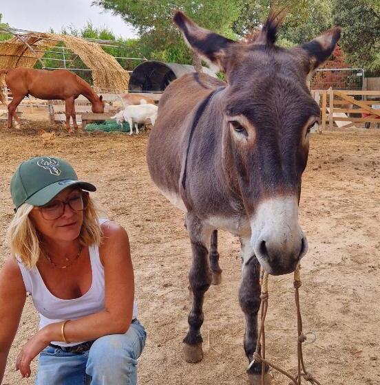 酒店 Chambre D Hôtes En Roulotte