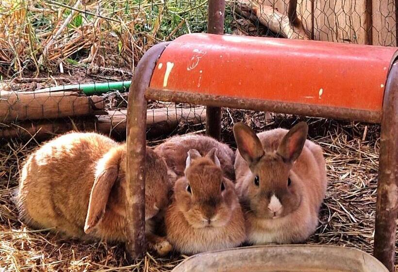 酒店 Chambre D Hôtes En Roulotte