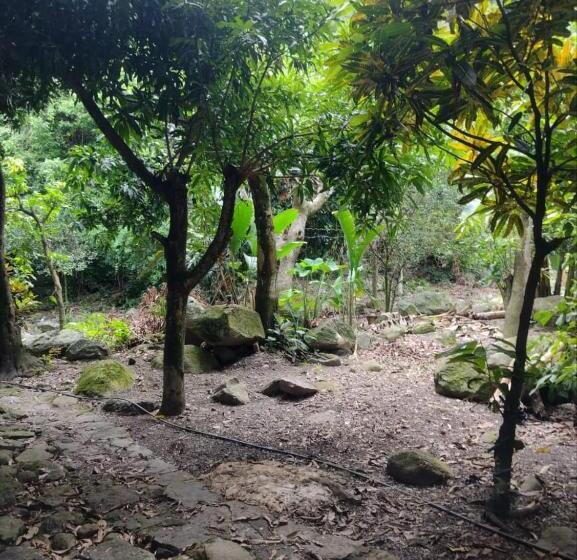 캡슐 호텔 Finca Villa Esther