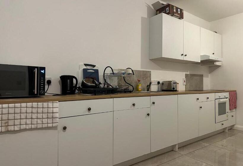 پانسیون Leitrim Property Cork