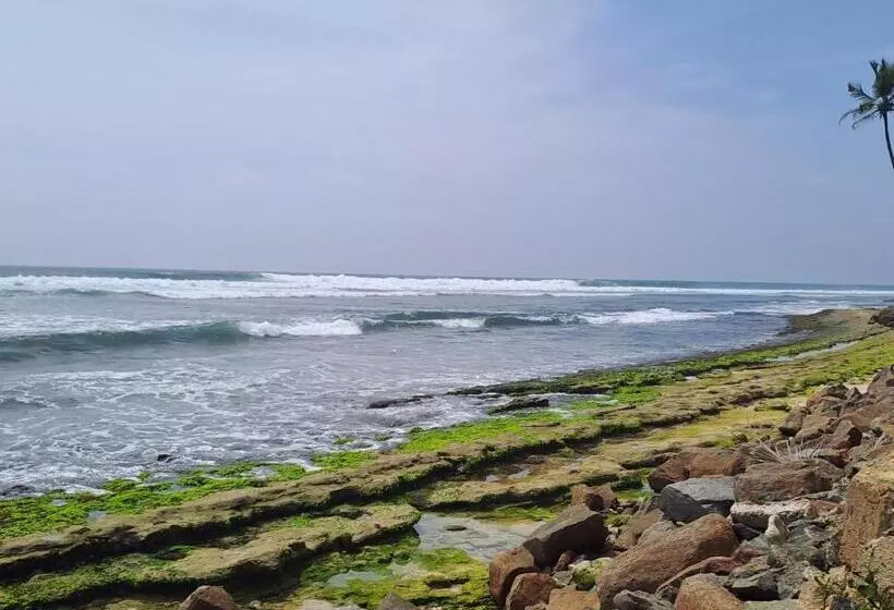 ペンション Sham Surf House Madiha