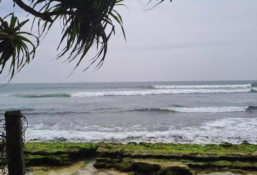 ペンション Sham Surf House Madiha