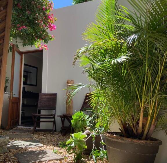 פנסיון Squirrel Lane Cottage Newlands