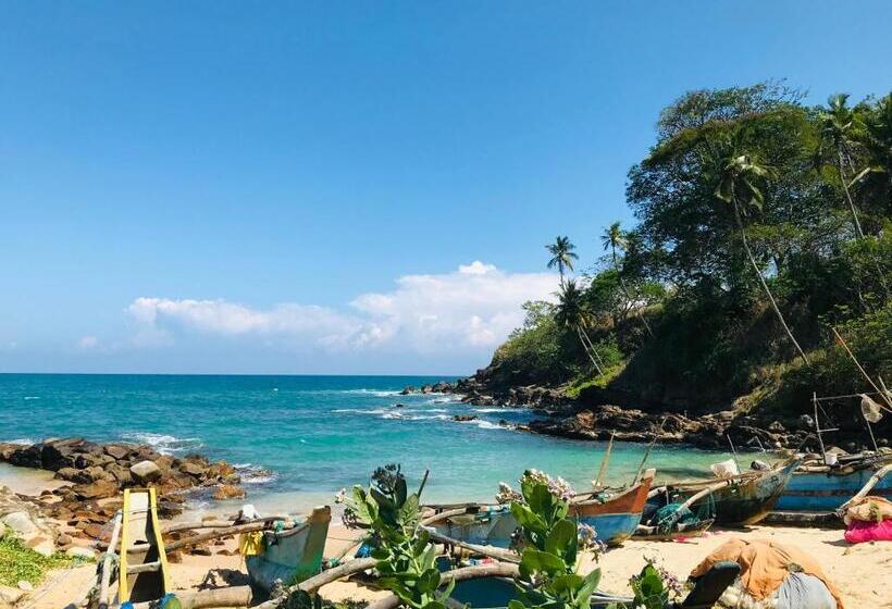 Bed and Breakfast Eco Garden